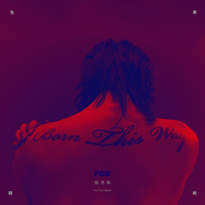 午夜成人蝌蚪小视频
