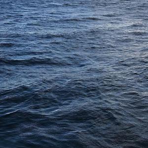 午夜成人蝌蚪小视频
